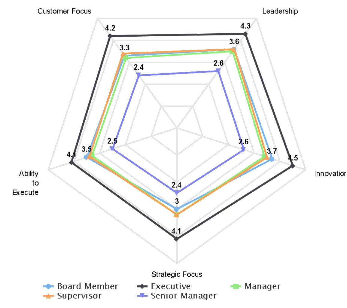 Multi Spider Charts Brilliant Assessments