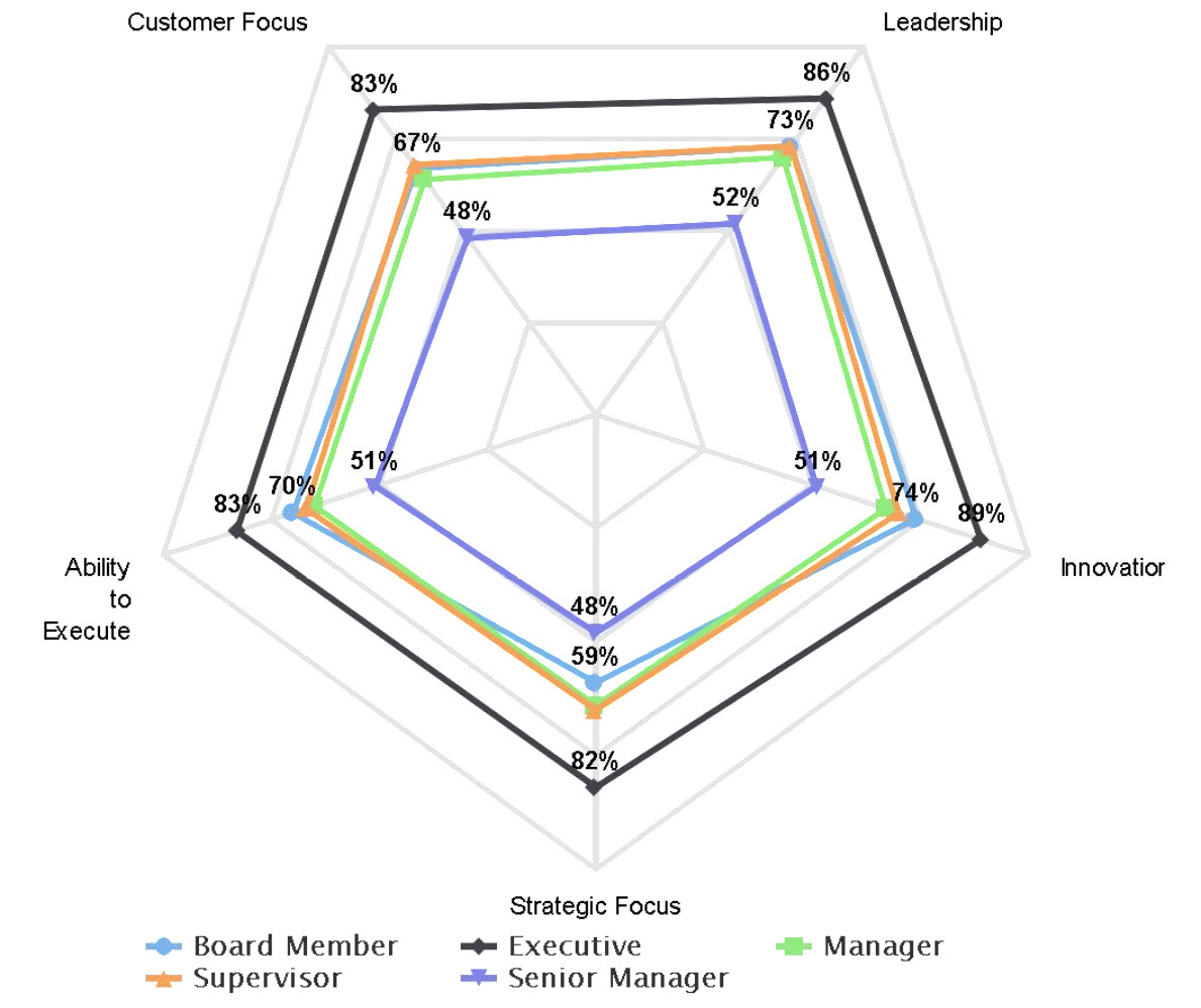 multi-spider-charts-brilliant-assessments