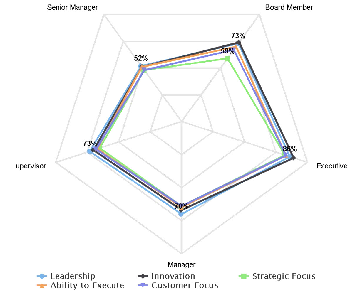 Multi Spider Charts – Brilliant Assessments