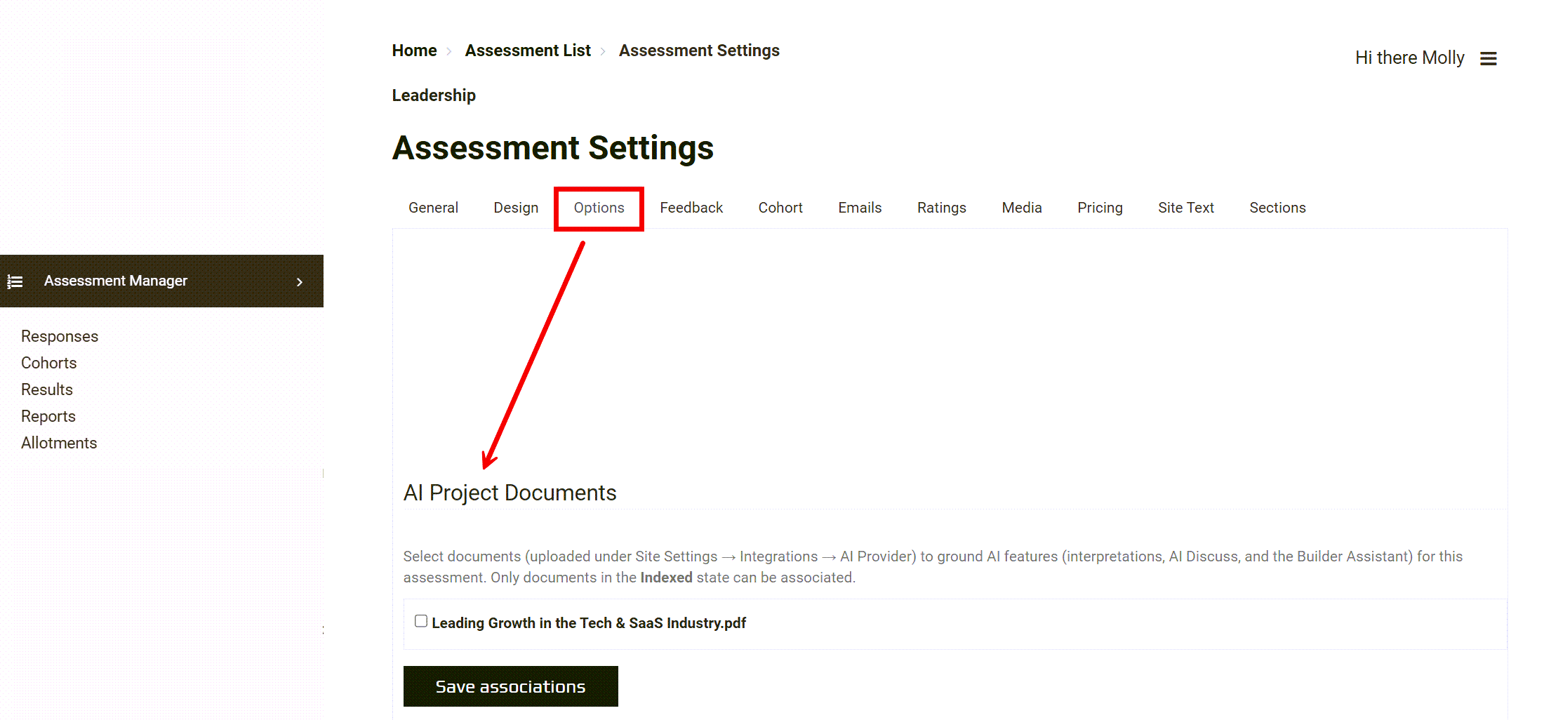 Assessment Settings, Options tab showing the AI Project Documents section with the document checkbox list and Save associations button