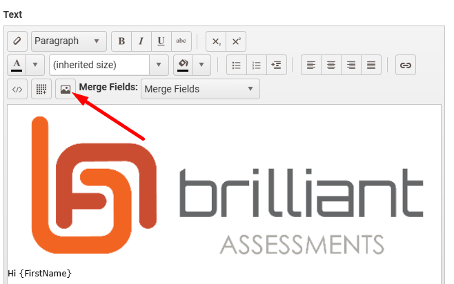 Email Text editor toolbar with the image icon highlighted, showing an inserted logo above the greeting line